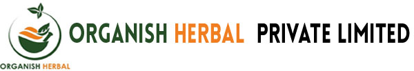 logo-img
